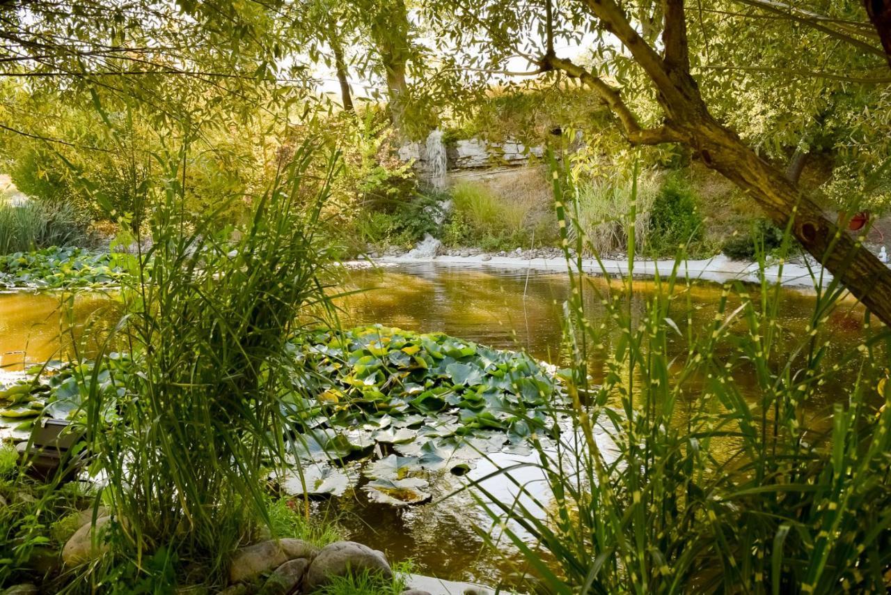 La Campagne St Lazare - Restaurant Chambres D'Hotes Piscine & Spa Forcalquier Buitenkant foto